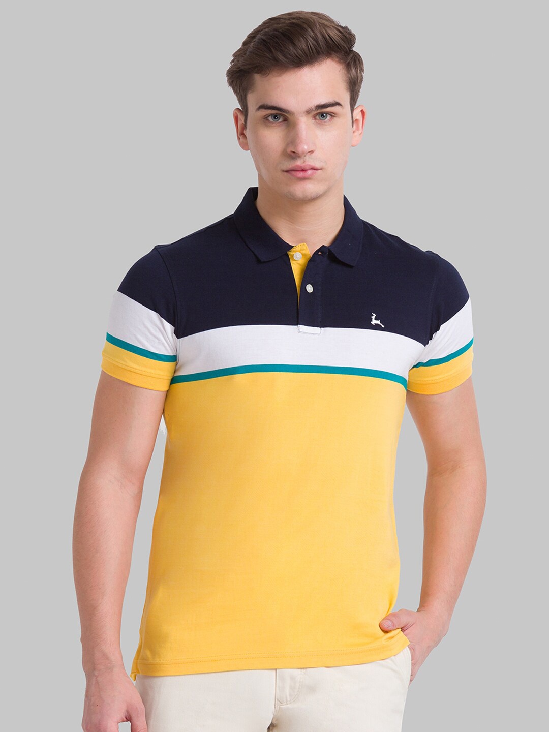 

Parx Men Yellow Colourblocked Polo Collar T-shirt