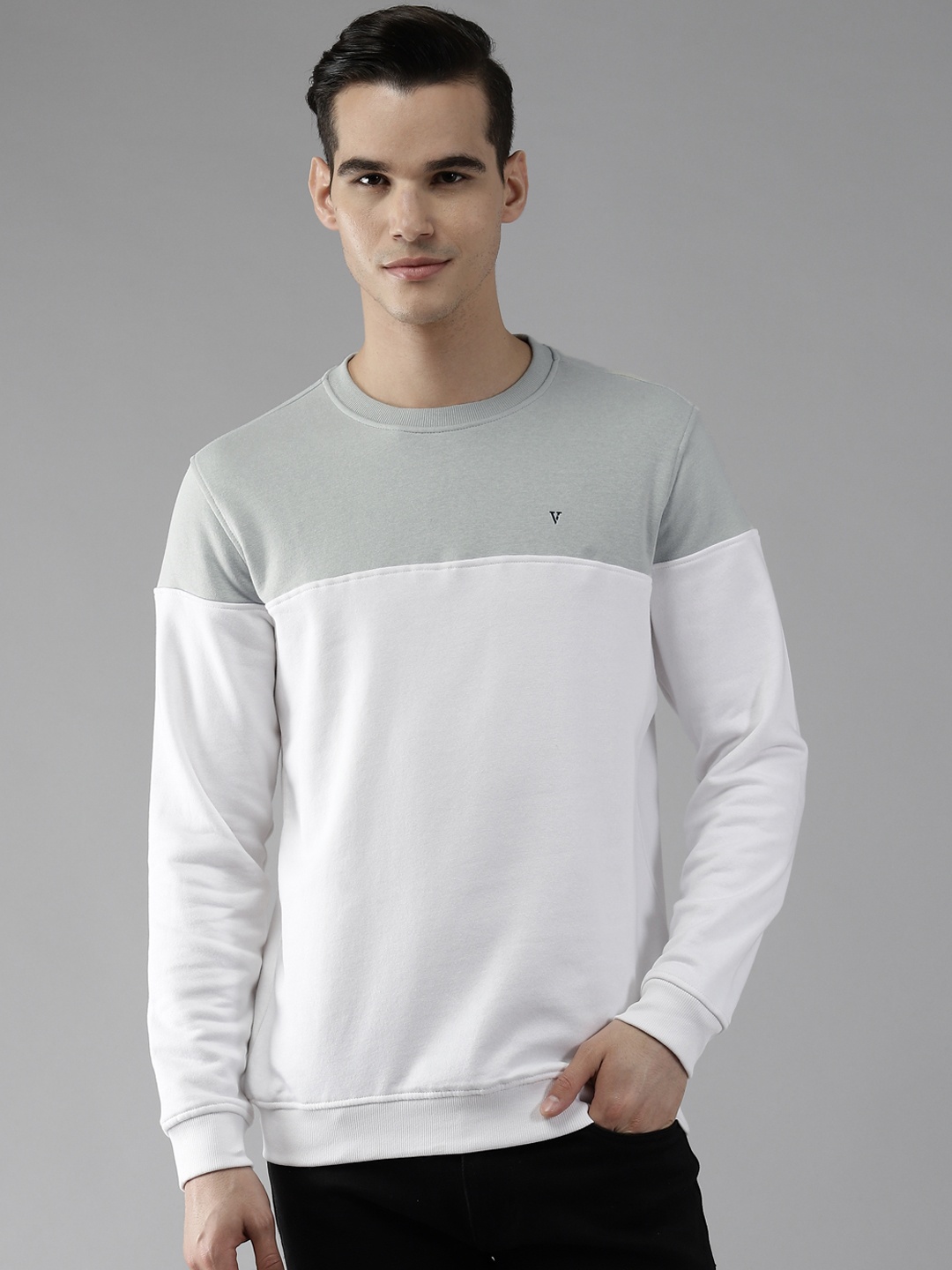 

Van Heusen Men Colourblocked Slim Fit Sweatshirt, White