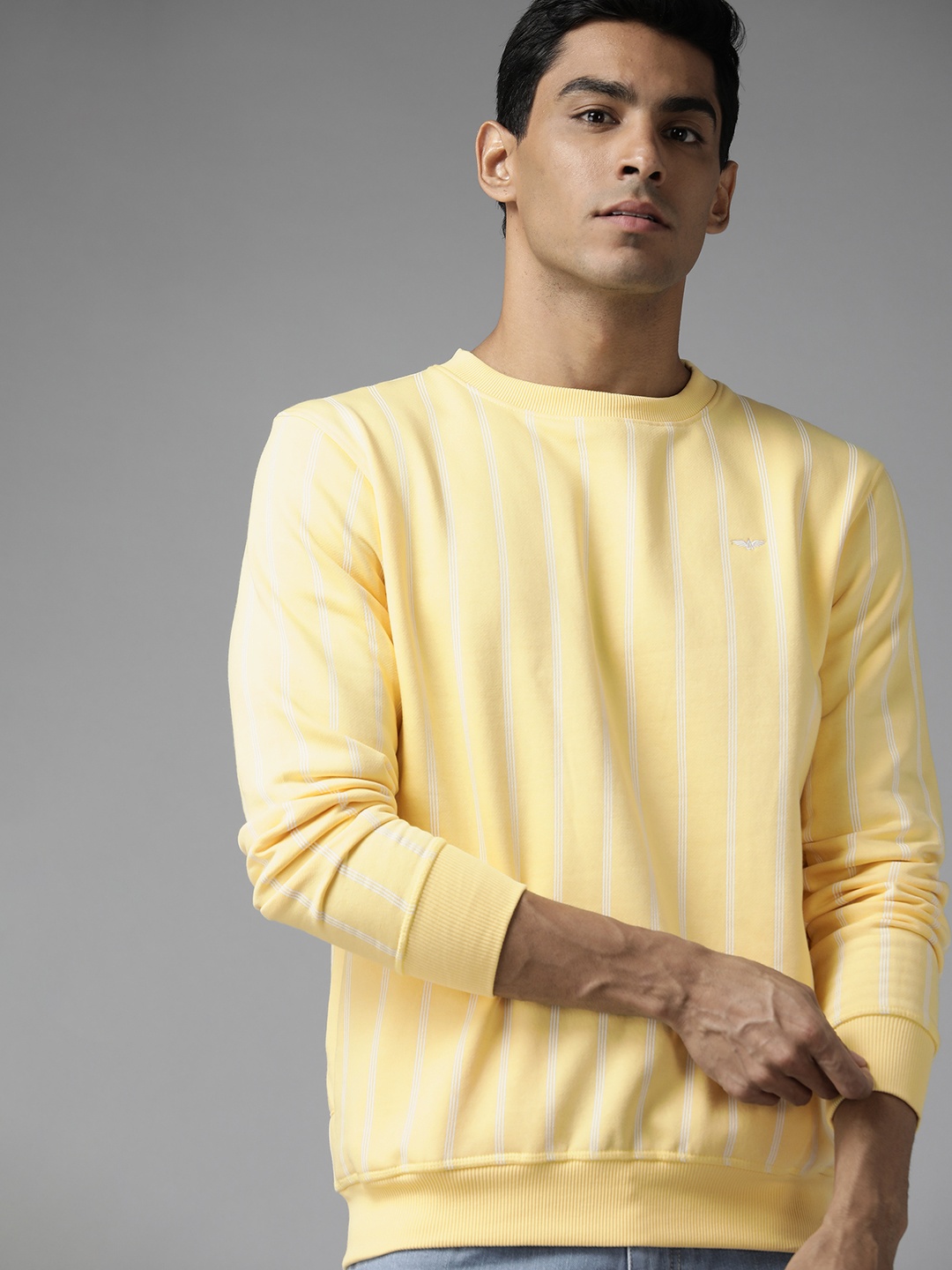 

Park Avenue Men Yellow & White Striped Sweatshirt