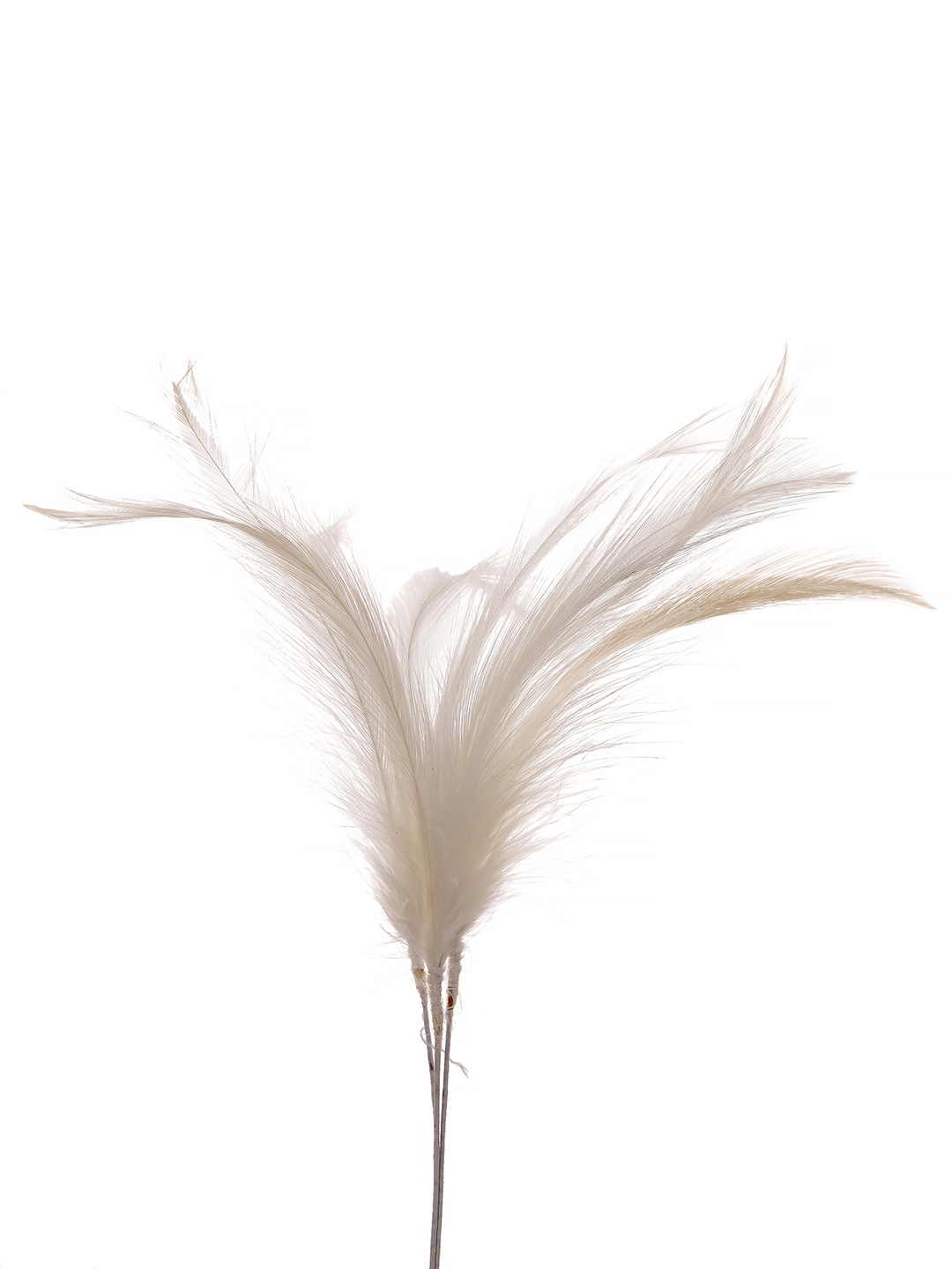 

Sanjog Men Off White Feather For Kalangi Brooch For Safa Turban Groom Wedding, Peach