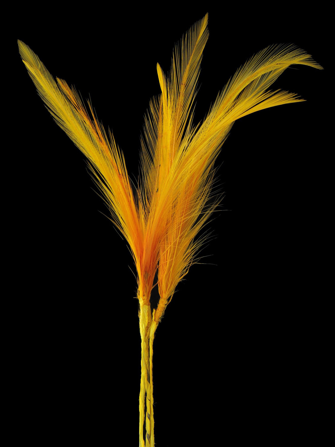 

Sanjog Men Yellow Kalangi