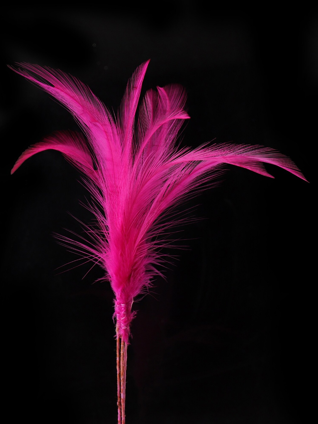 

Sanjog Men Pink Feather Kalangi Brooch