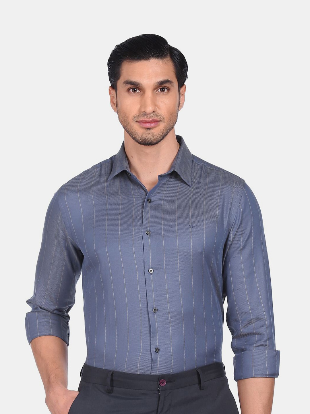 

Arrow Men Blue Slim Fit Striped Pure Cotton Formal Shirt