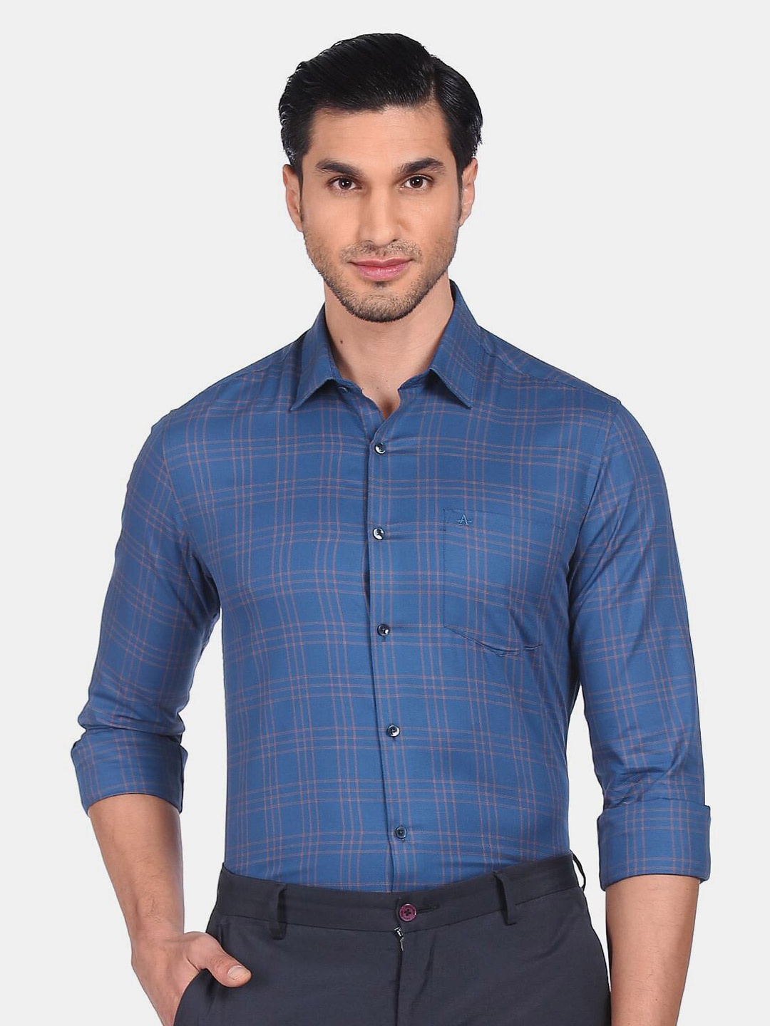 

Arrow Men Blue Slim Fit Checked Formal Shirt