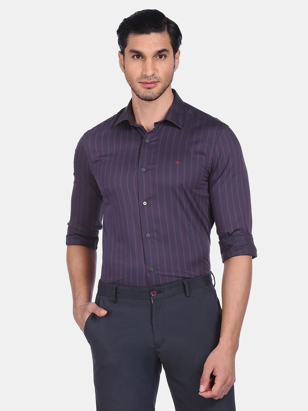 

Arrow New York Men Purple Skinny Fit Striped Formal Shirt