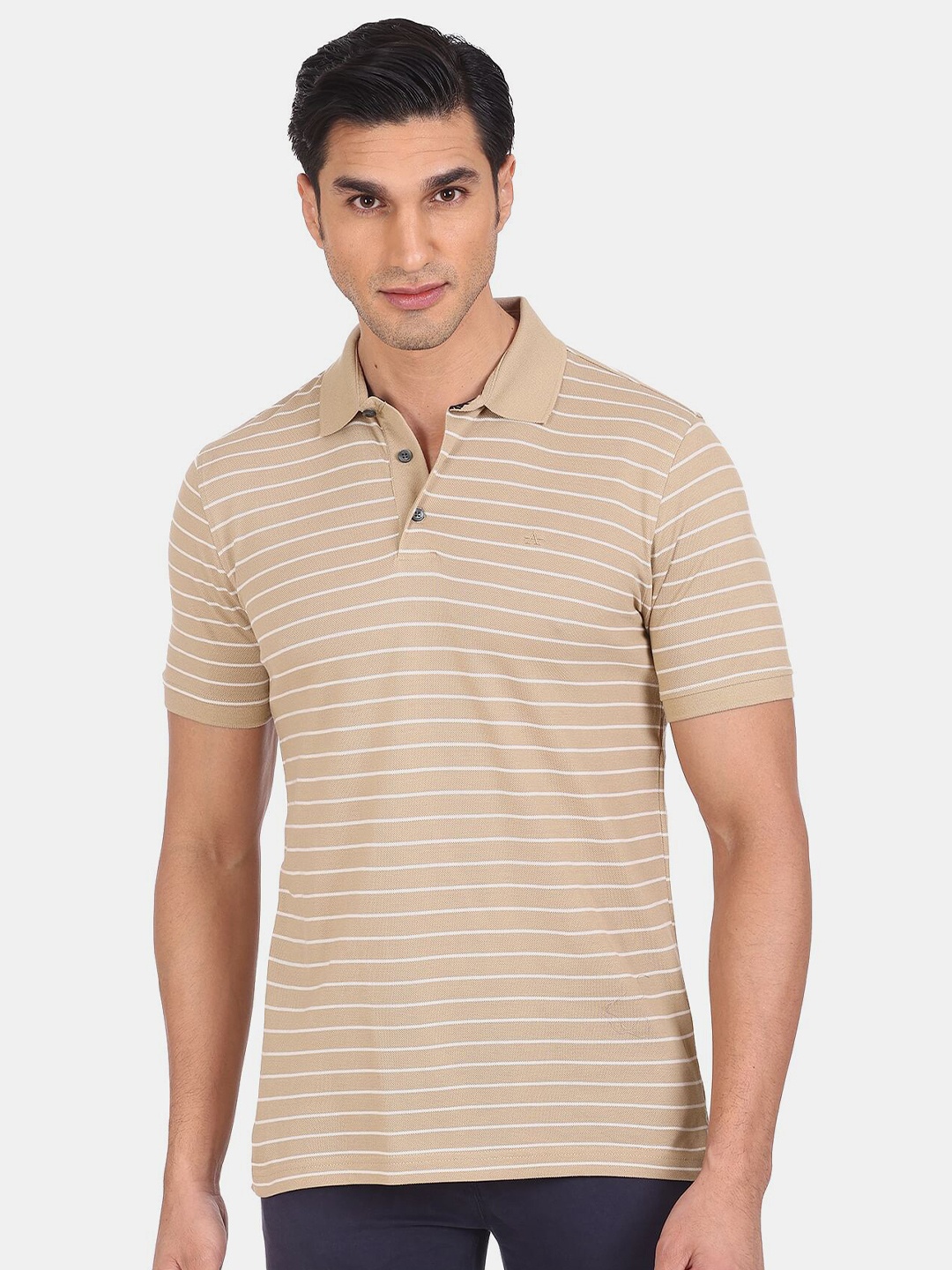 

Arrow Men Beige Striped Polo Collar Cotton T-shirt