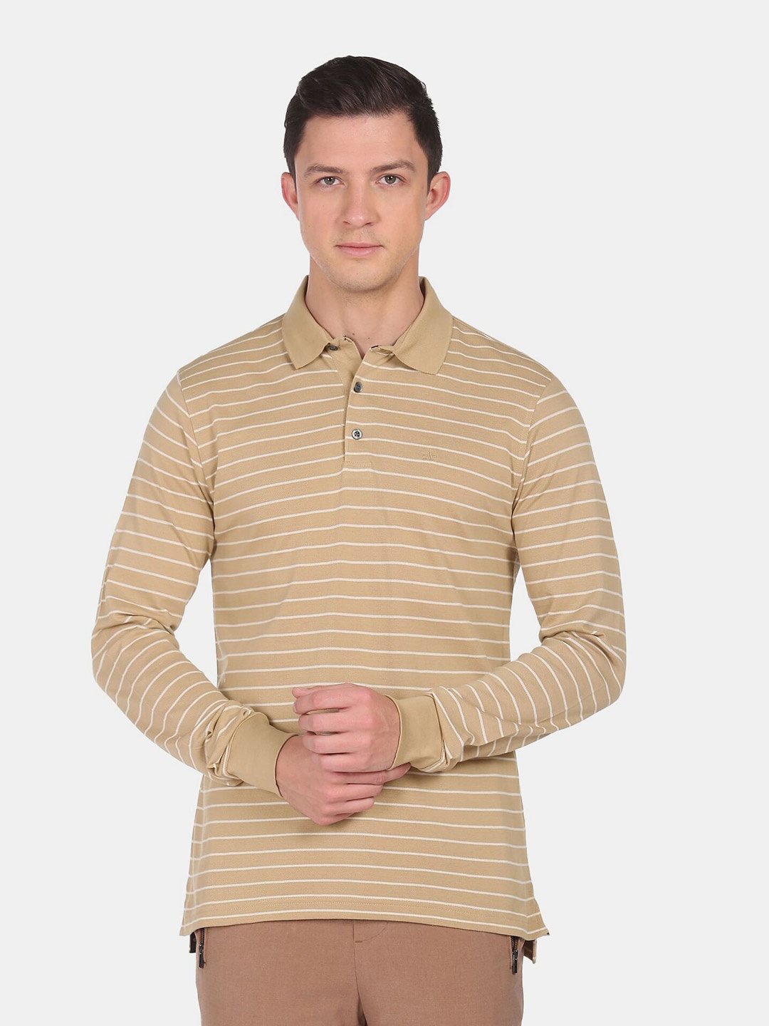 

Arrow Men Beige Striped Polo Collar Cotton T-shirt