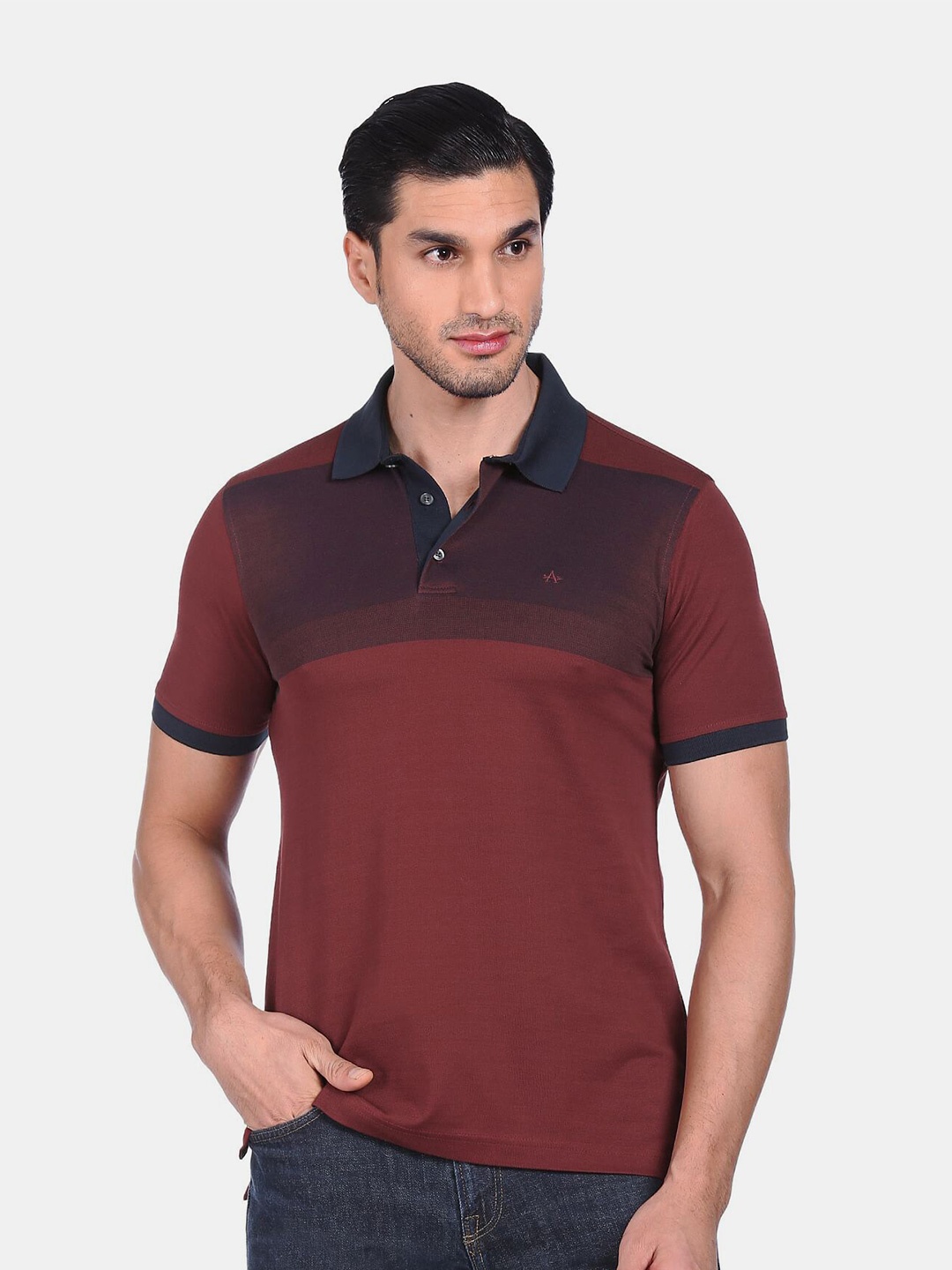 

Arrow Men Red Colourblocked Polo Collar T-shirt