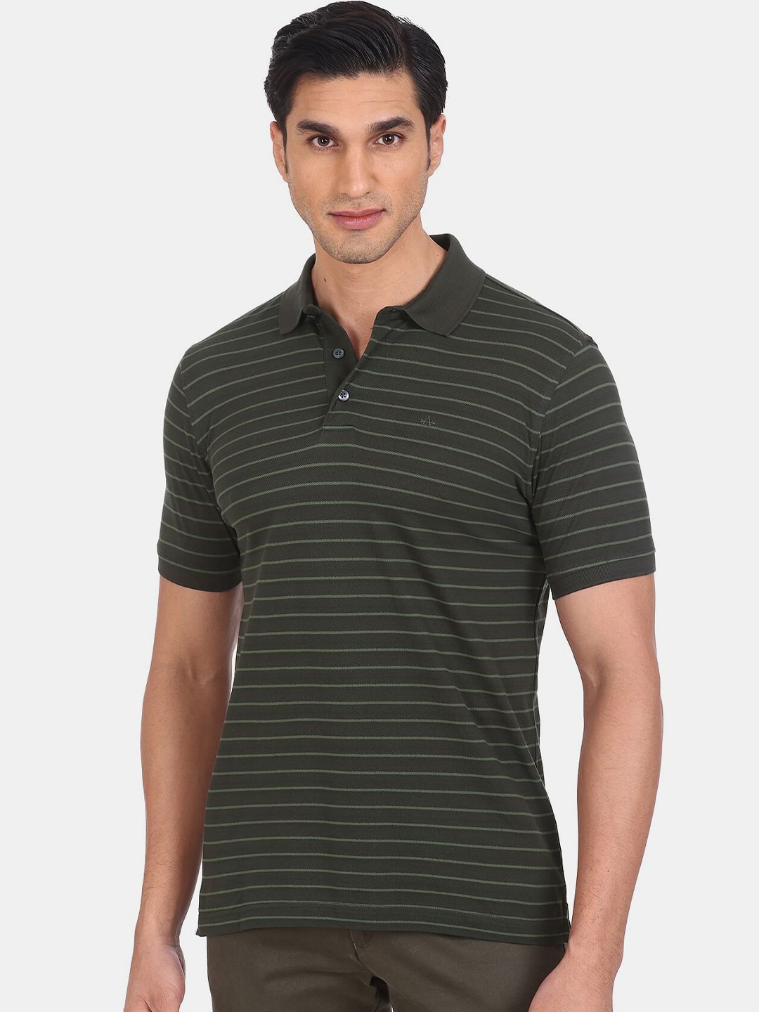 

Arrow Men Green Striped Polo Collar T-shirt
