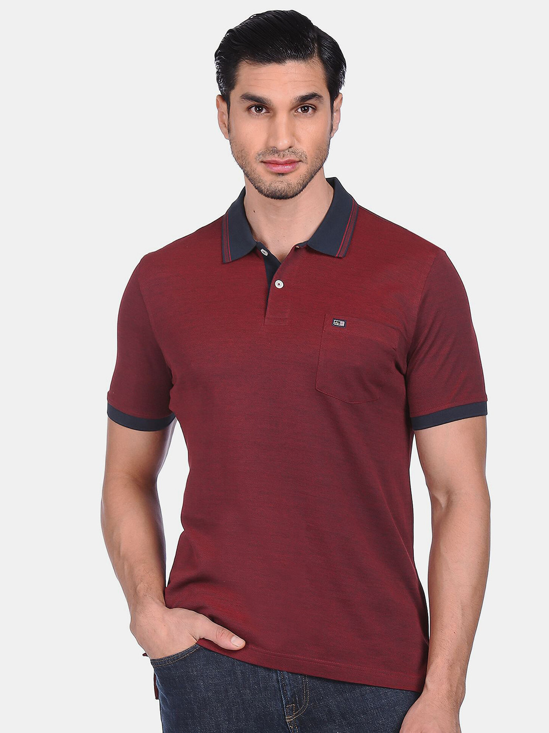 

Arrow Sport Men Red & Blue Polo Collar Cotton T-shirt
