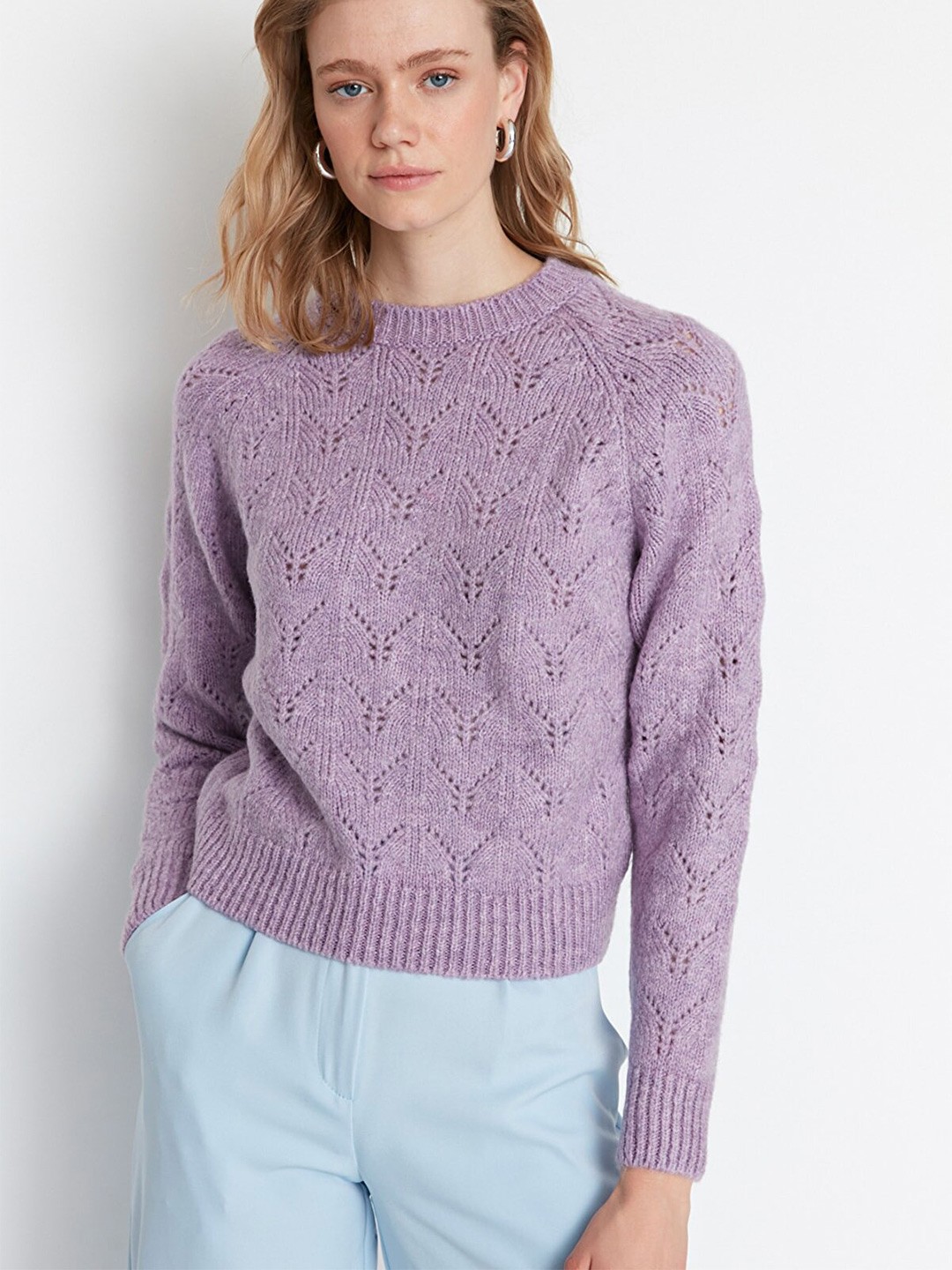 

Trendyol Women Violet Pullover