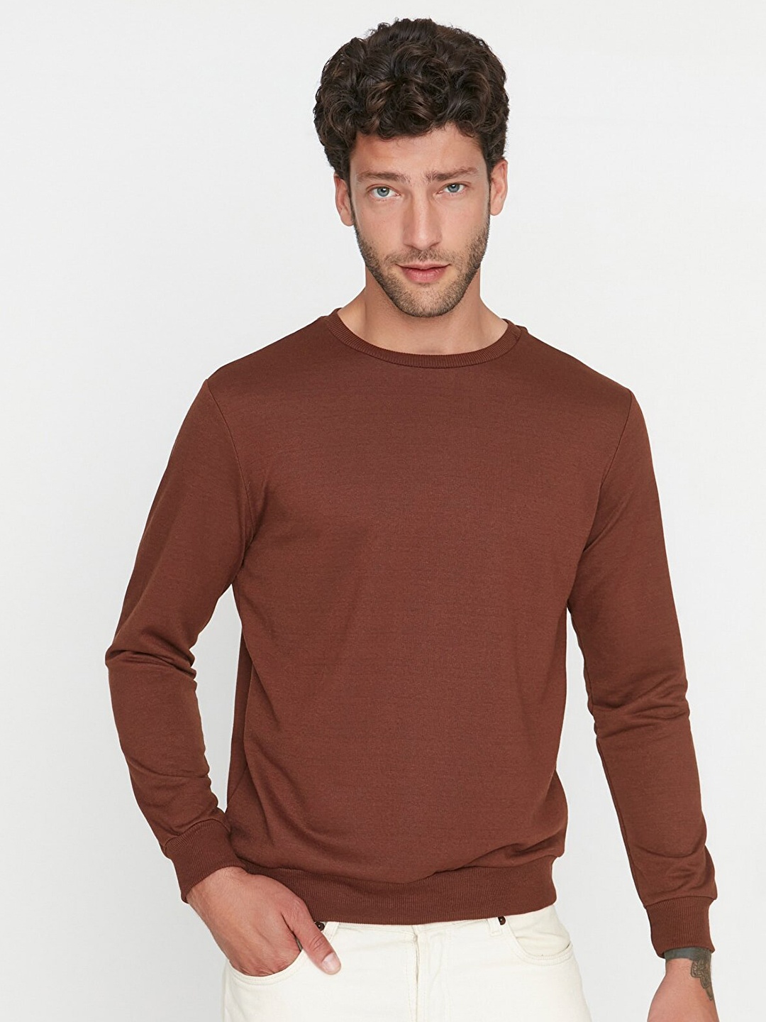 

Trendyol Men Brown Solid Round Neck Pullover