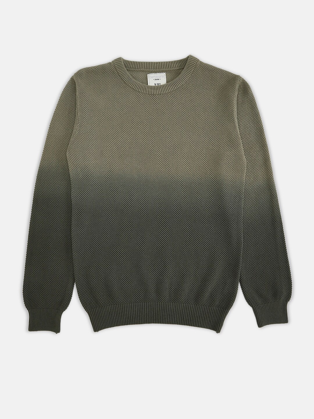 

Pantaloons Junior Boys Olive Green Colourblocked Pullover