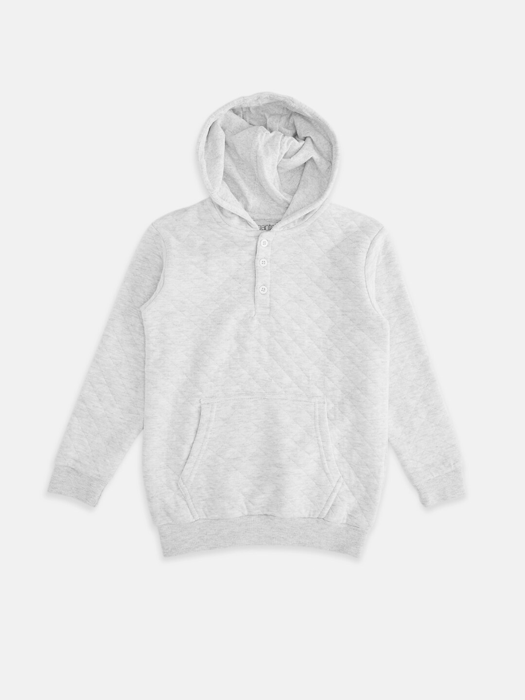 

Pantaloons Junior Boys Grey Hooded Sweatshirt