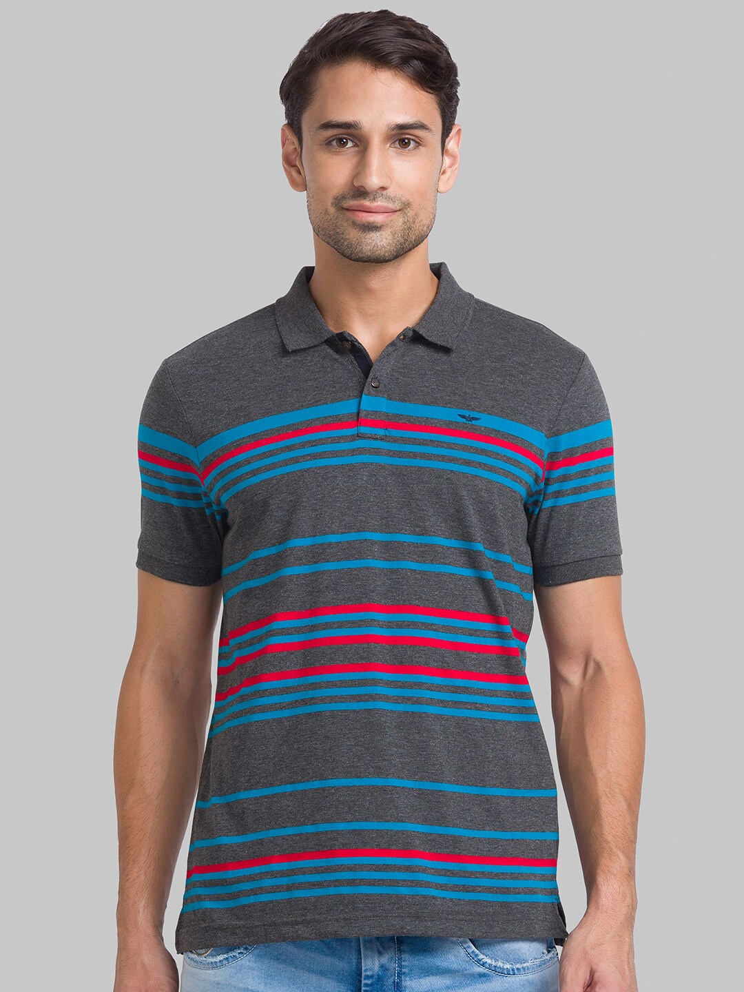 

Park Avenue Men Grey & Blue Striped Polo Collar T-shirt