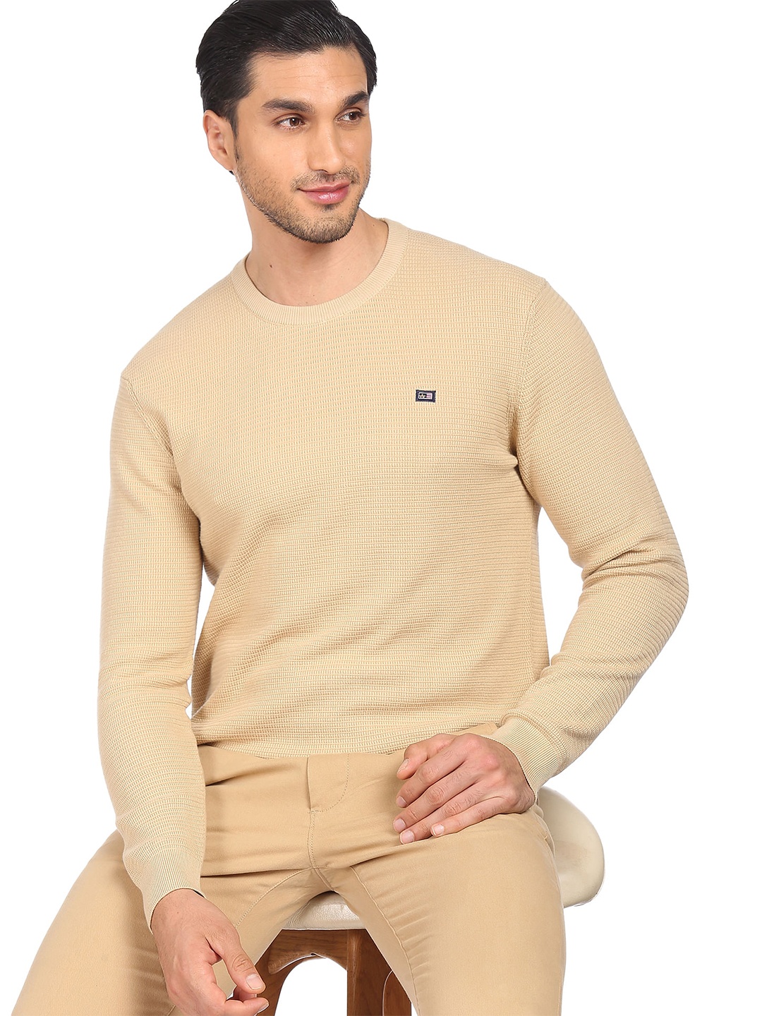 

Arrow Sport Men Beige Pullover