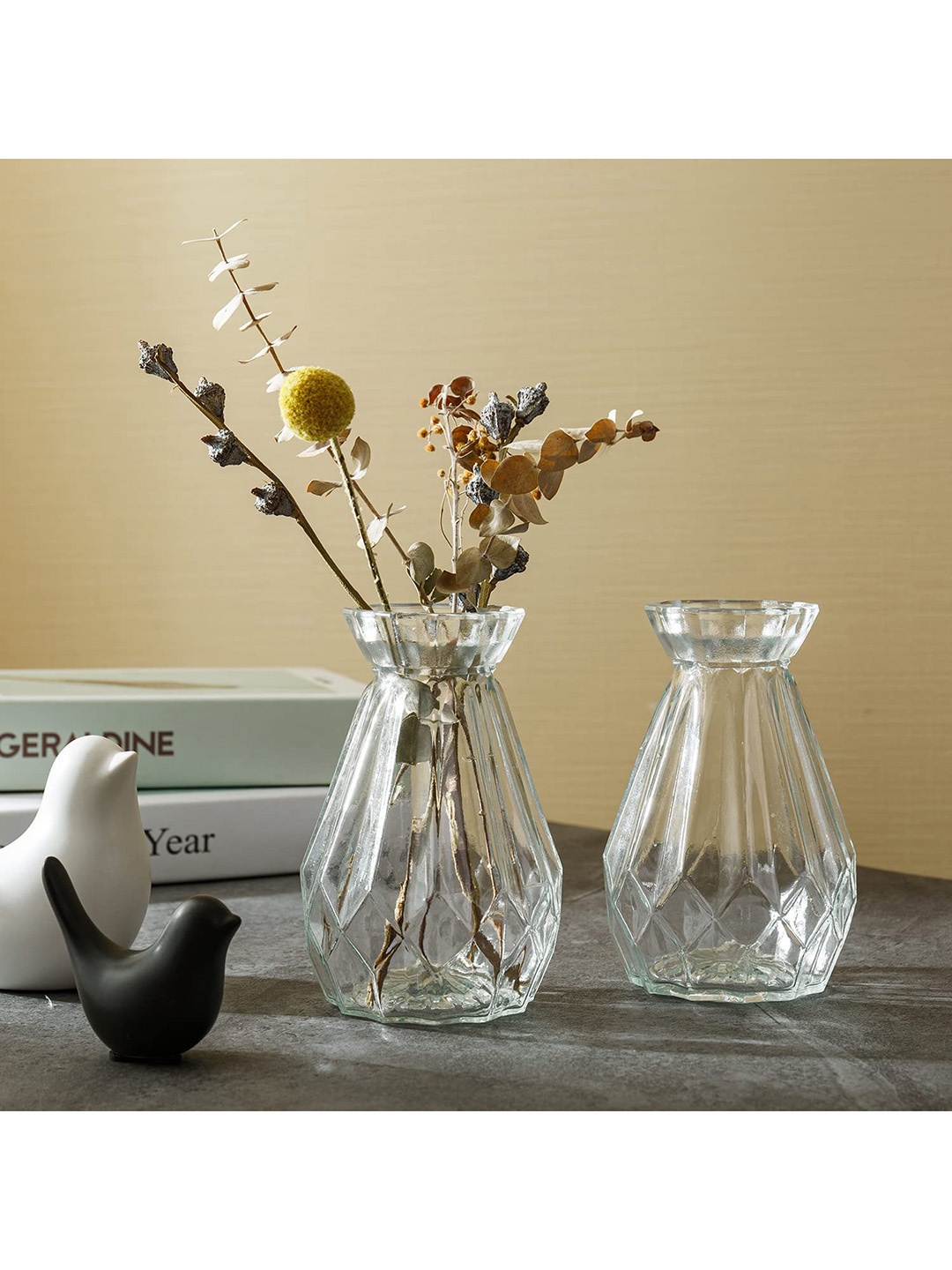 

BS AMOR Set Of 2 Solid Vases, Transparent