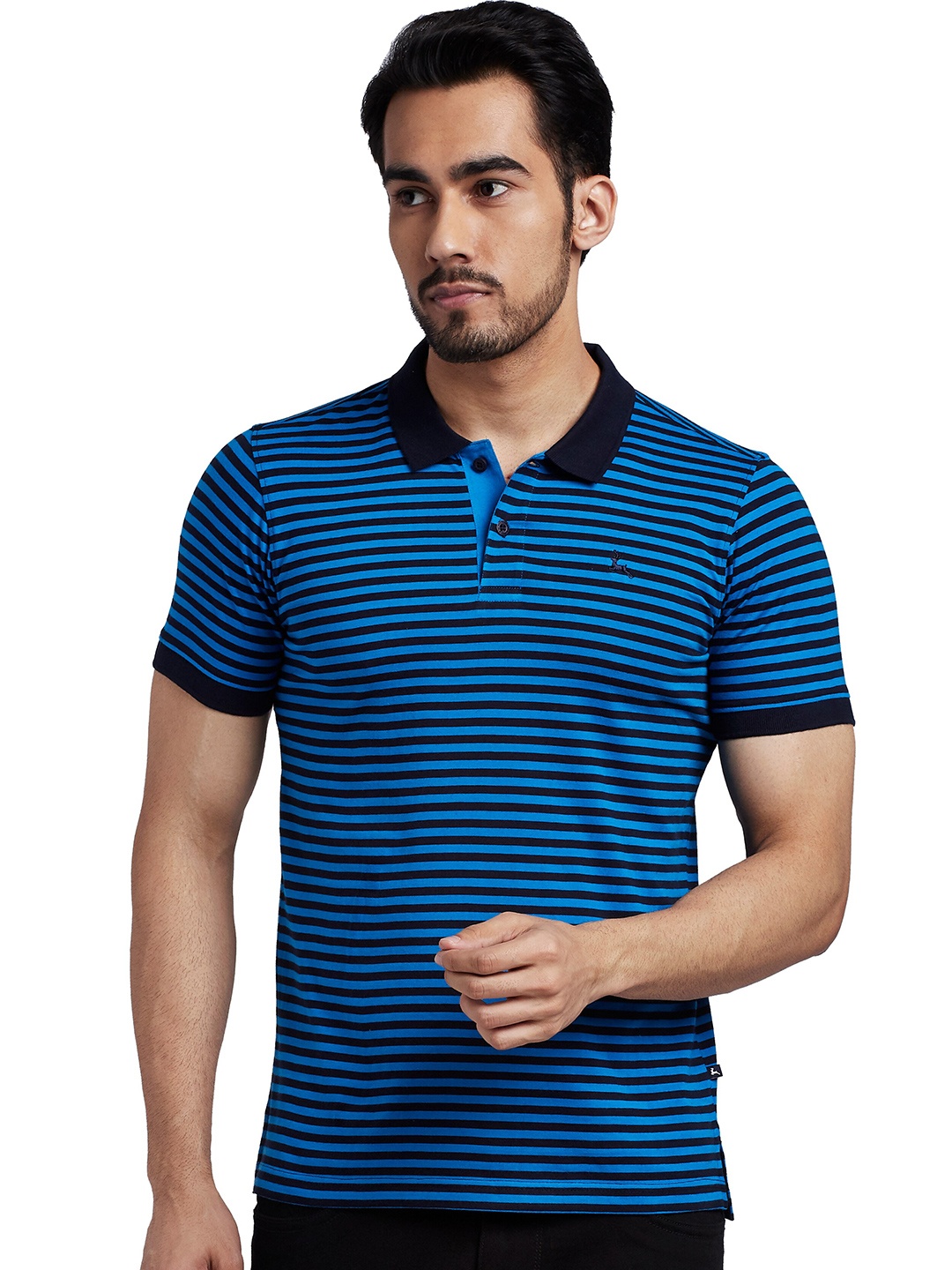 

Parx Men Blue Striped Polo Collar T-shirt