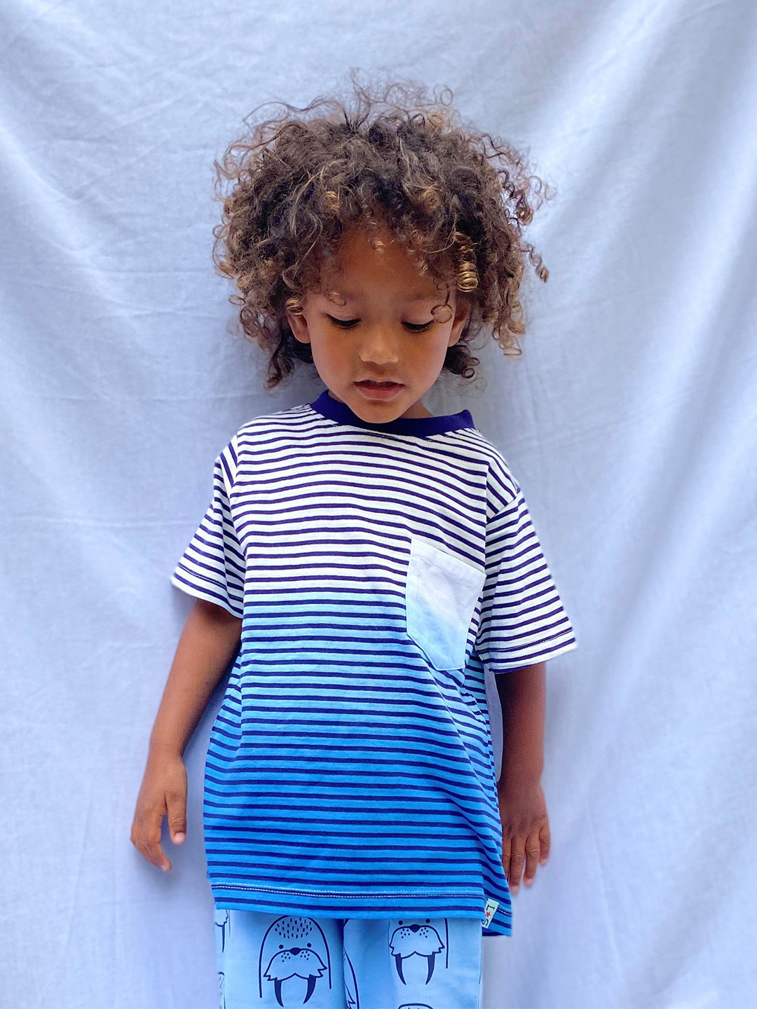 

Lilly and Sid Boys Navy Blue Striped T-shirt