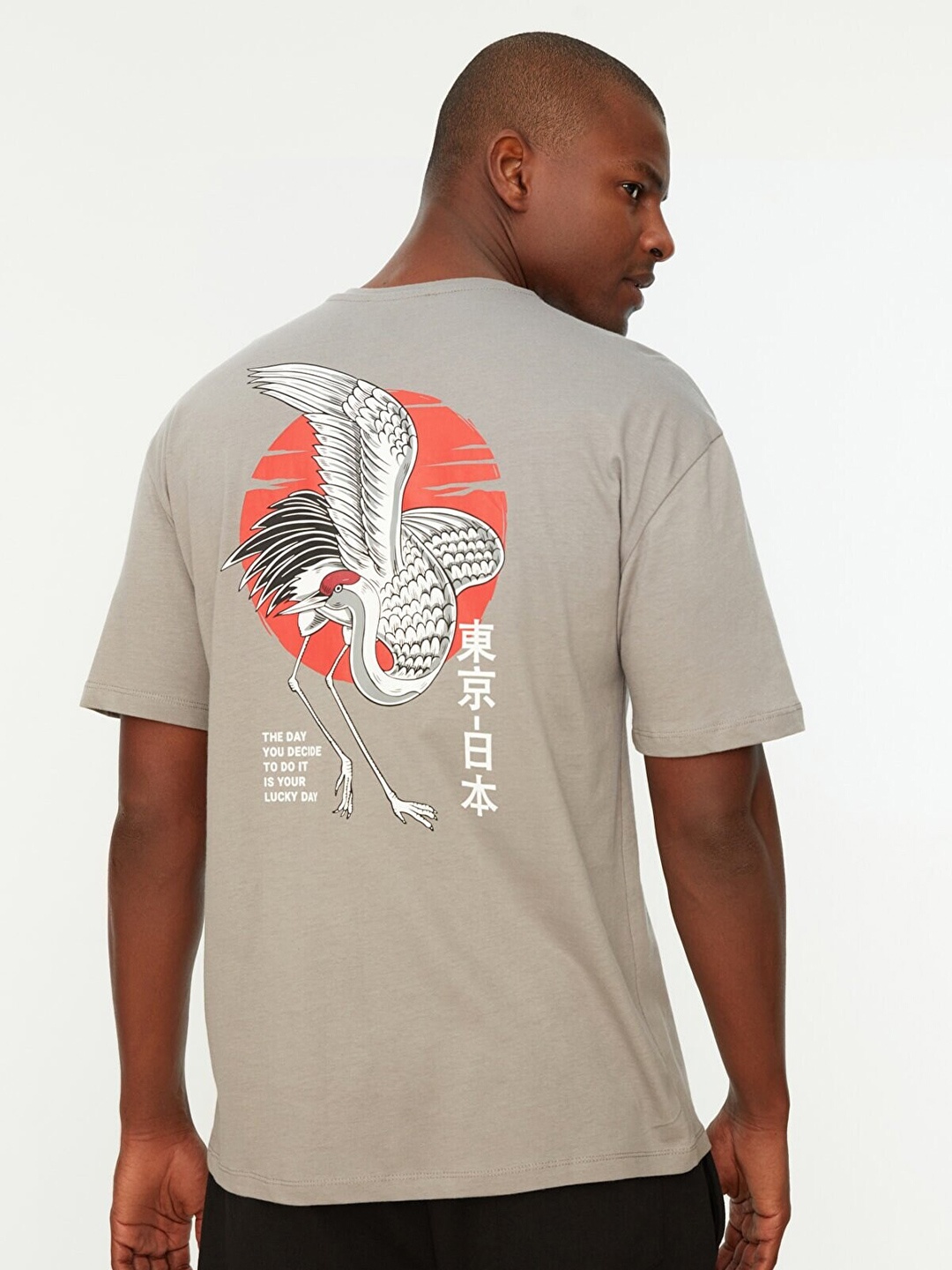

Trendyol Men Grey Printed Applique T-shirt