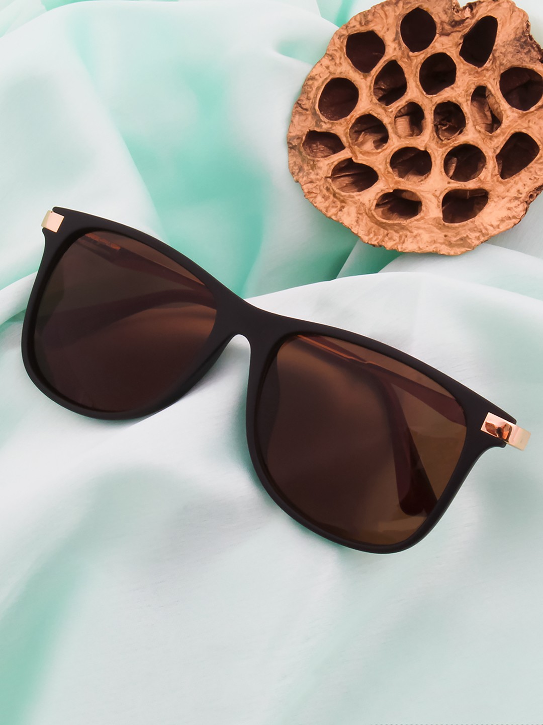 

Ted Smith Unisex Brown Lens & Black Sunglasses with UV Protected Lens RAIDER_C1-Brown