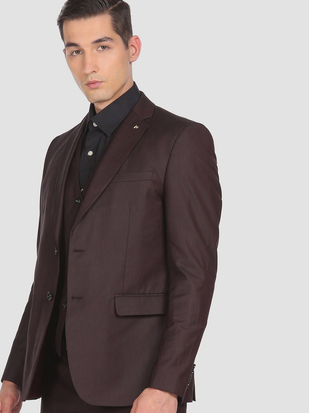 

Arrow Men Brown Patterned Single-Breasted Three-Piece Formal Suit