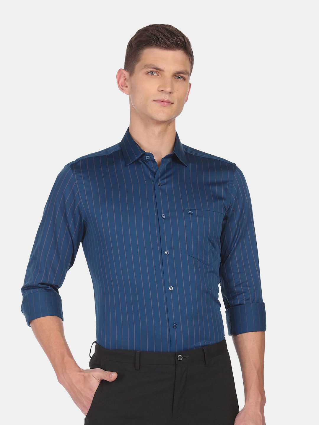 

Arrow Men Blue Striped Formal Shirt