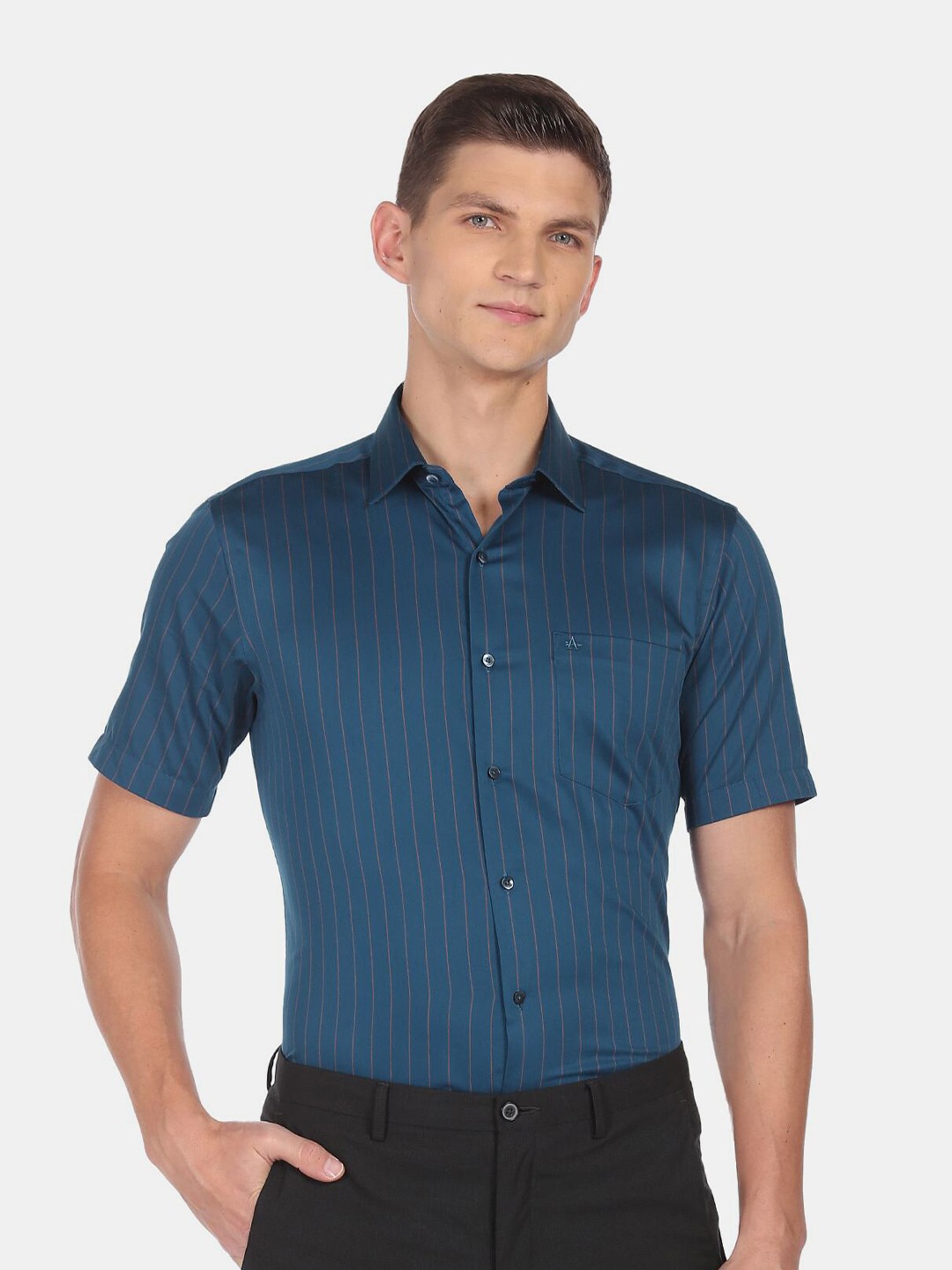 

Arrow Men Blue Striped Formal Shirt