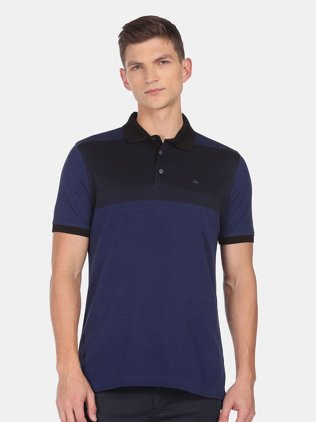 

Arrow Men Blue Colourblocked Polo Collar T-shirt