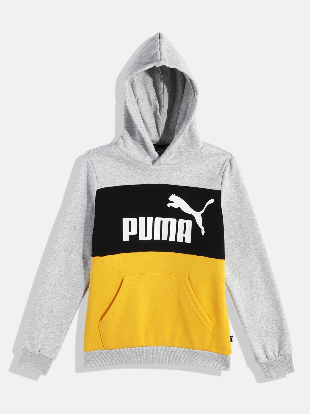 

Puma Boys Colourblocked Hooded Regular Fit Sweatshirt, Grey melange