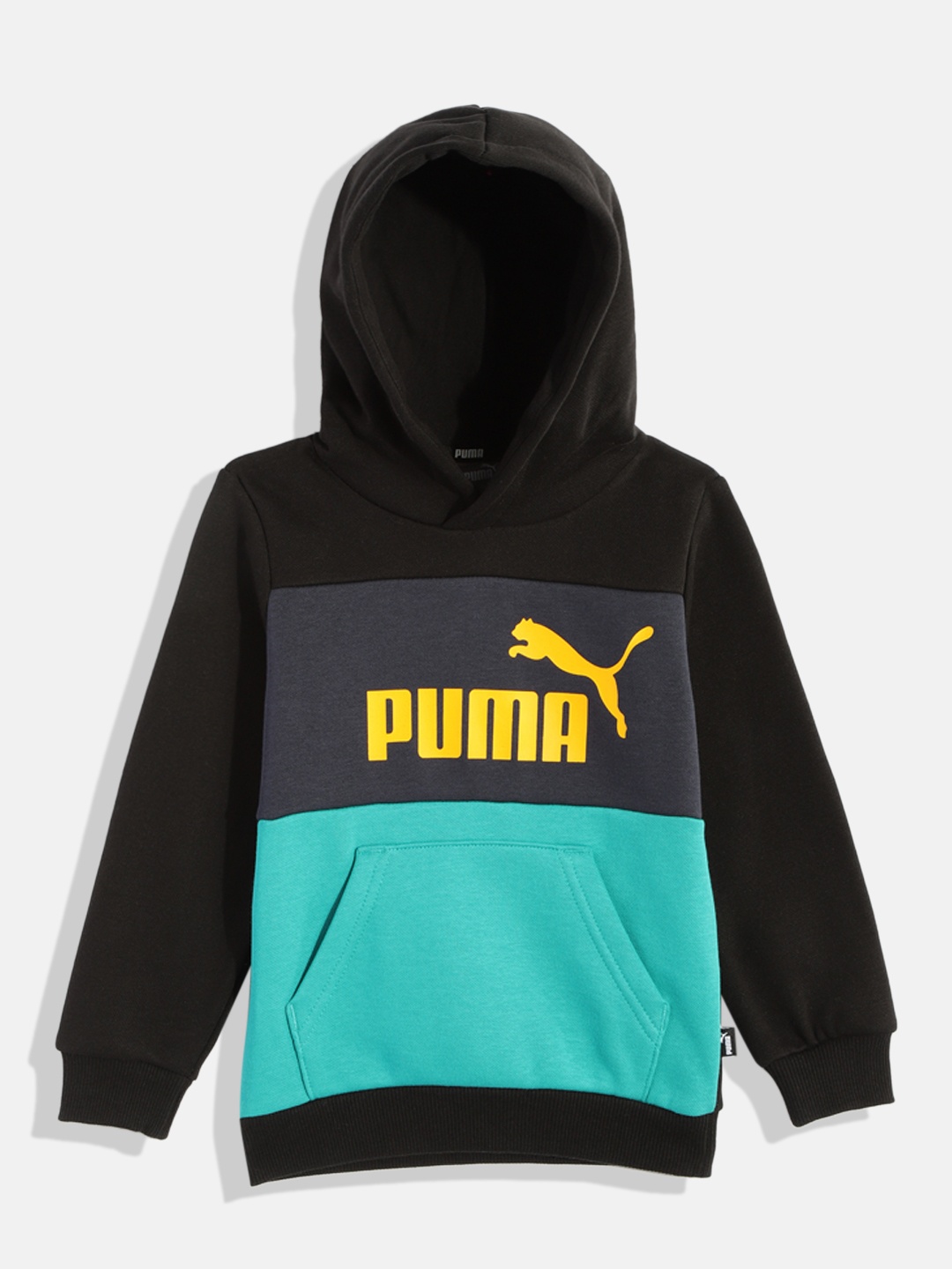 

Puma Boys Regular Fit Essentials Hooded Sweatshirt, Black