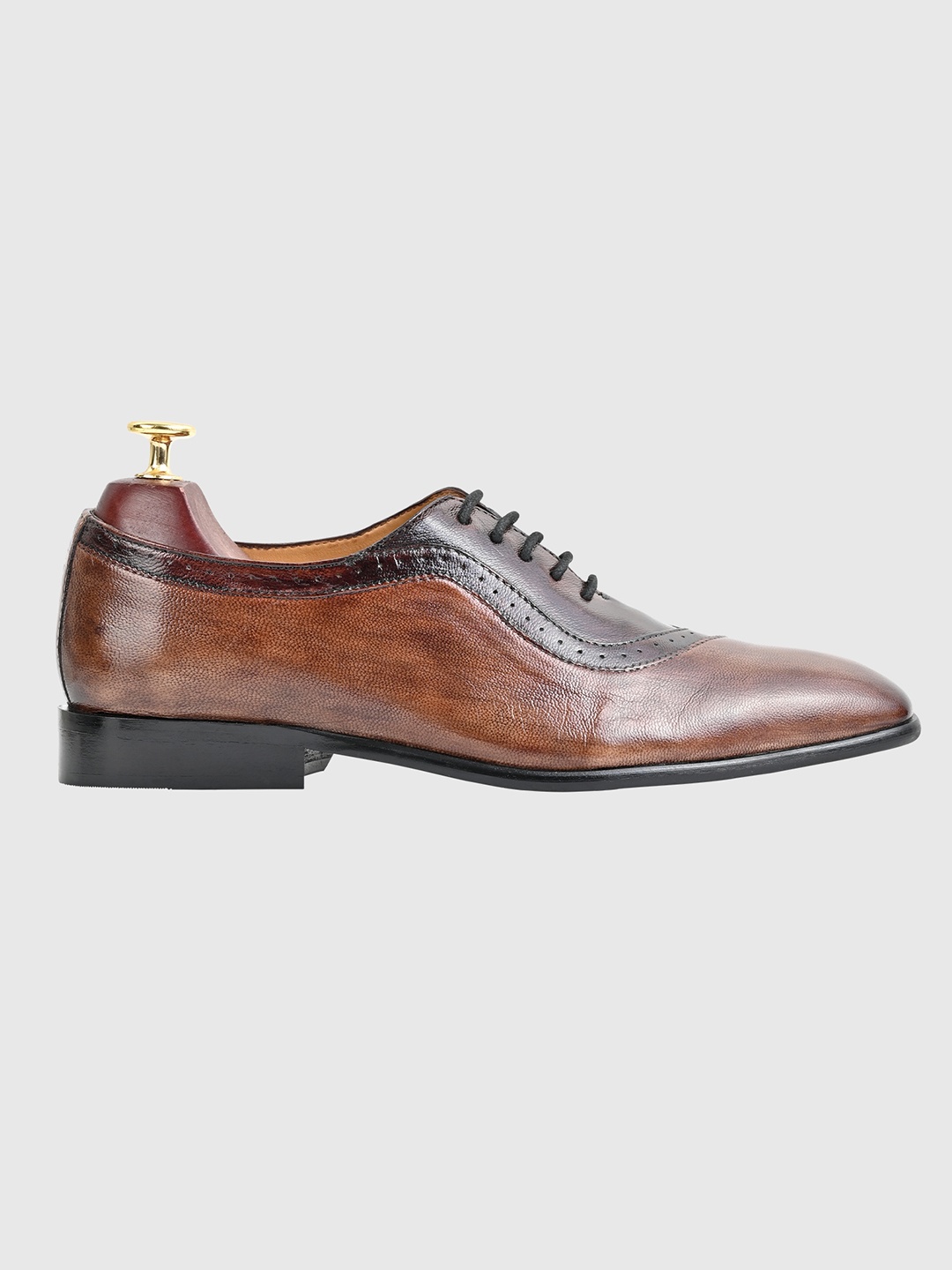 Egle Men Coffee Brown Solid Formal Brogues