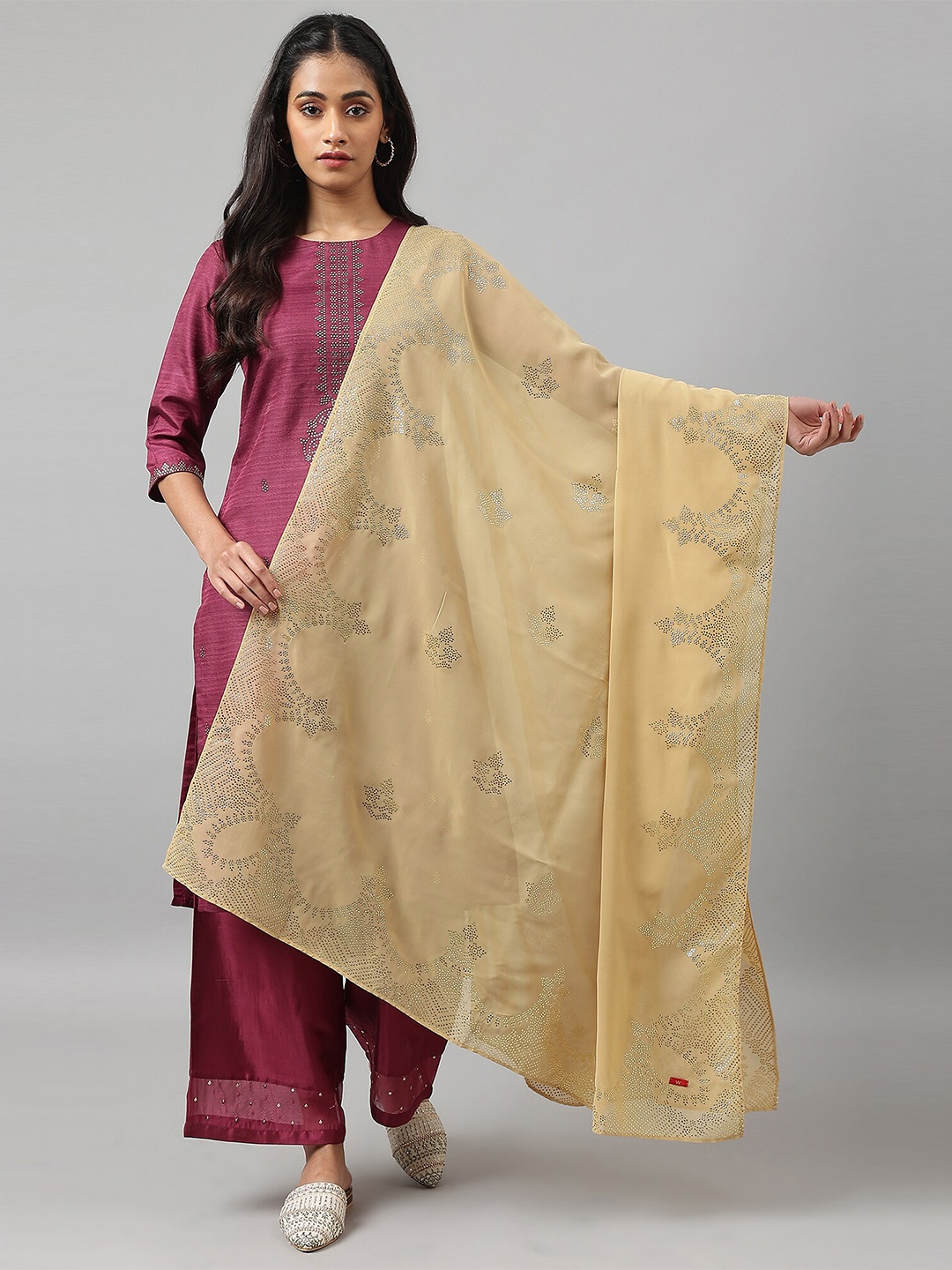 

W Gold-Toned Ethnic Motifs Embroidered Dupatta
