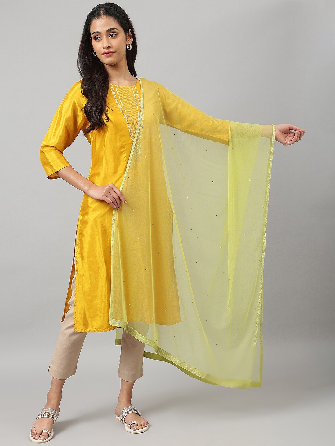

W Women Green & Silver-Toned Solid Dupatta