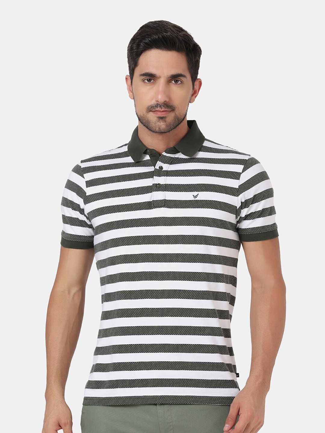 

Blackberrys Men Olive Green Striped Polo Collar Slim Fit T-shirt
