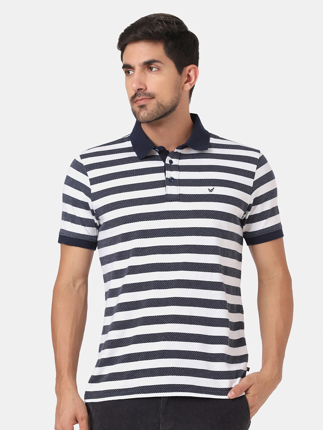 

Blackberrys Men Navy Blue Striped Polo Collar Slim Fit T-shirt