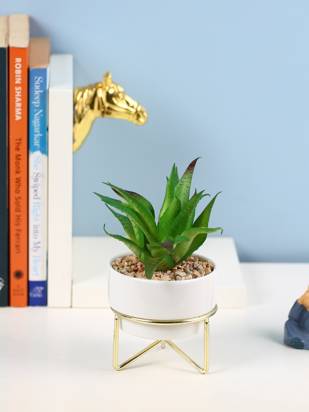 

Fourwalls Green & White Artificial Aloe Vera Plant in Ceramic Pot