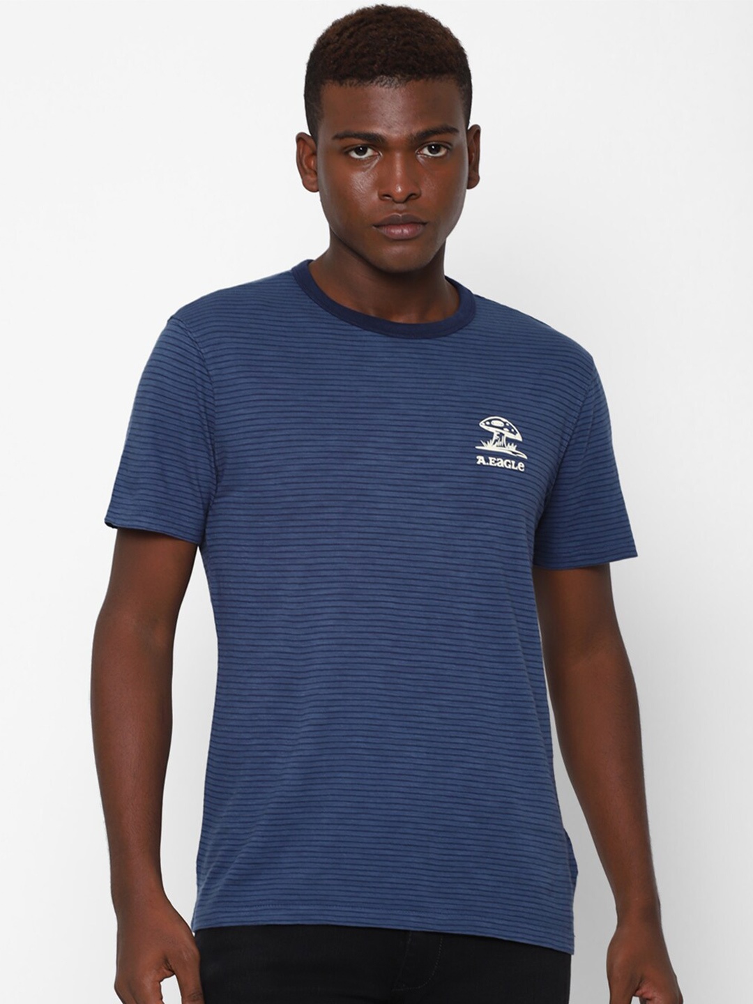 

AMERICAN EAGLE OUTFITTERS Men Blue Pure Cotton T-shirt