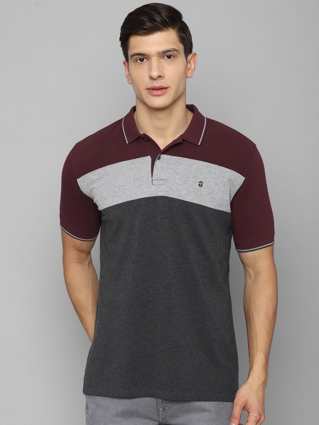 

Louis Philippe Men Grey & Maroon Colourblocked Polo Collar T-shirt