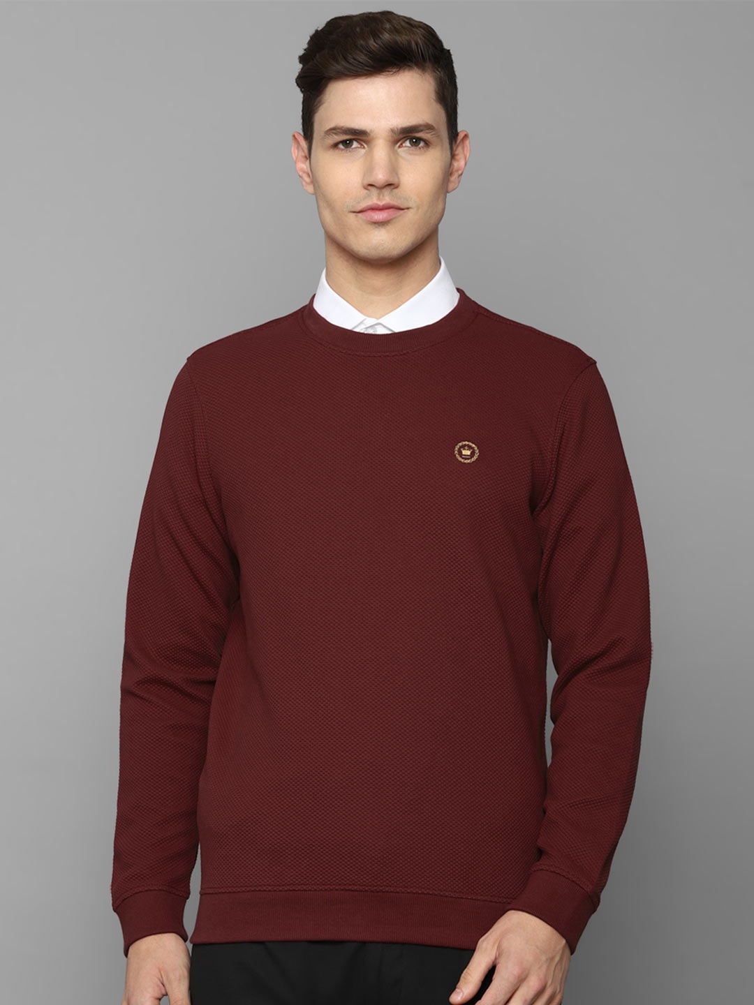 

Louis Philippe Men Maroon Solid Cotton Pullover Sweatshirt