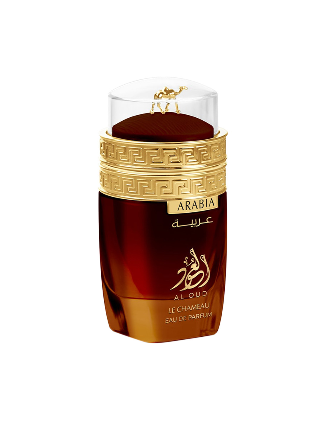 

LE CHAMEAU Long Lasting Arabia Al Oud Perfume - 100 ml, Brown