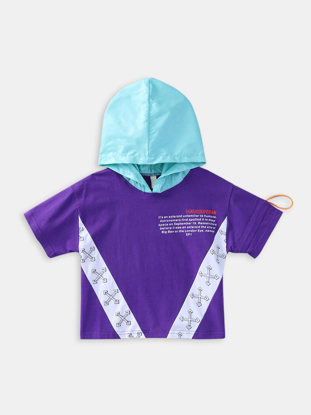 

Hopscotch Boys Purple Printed Hooded Sweatshirt