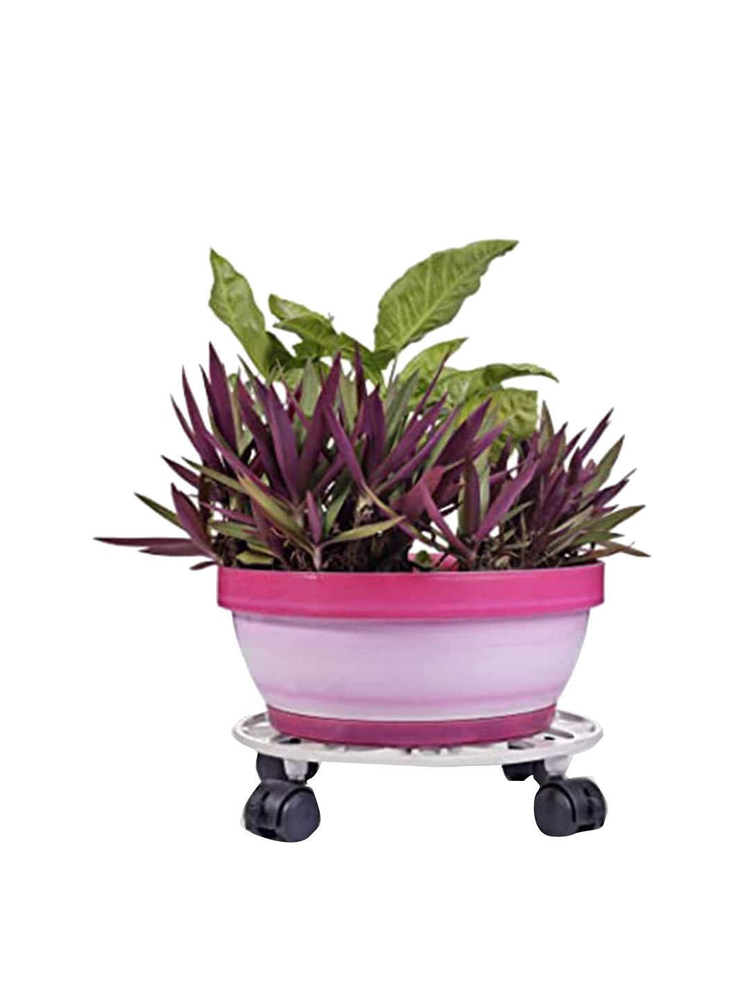 

Sharpex White Iron Dolly Round Rack