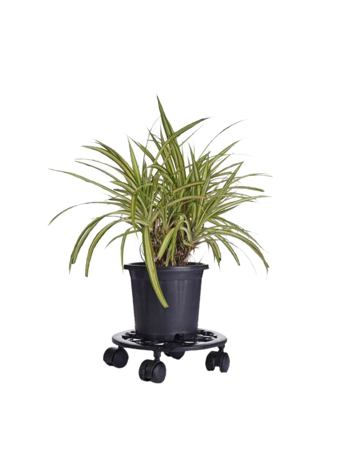 

Sharpex Black Textured Metal Plant Stand
