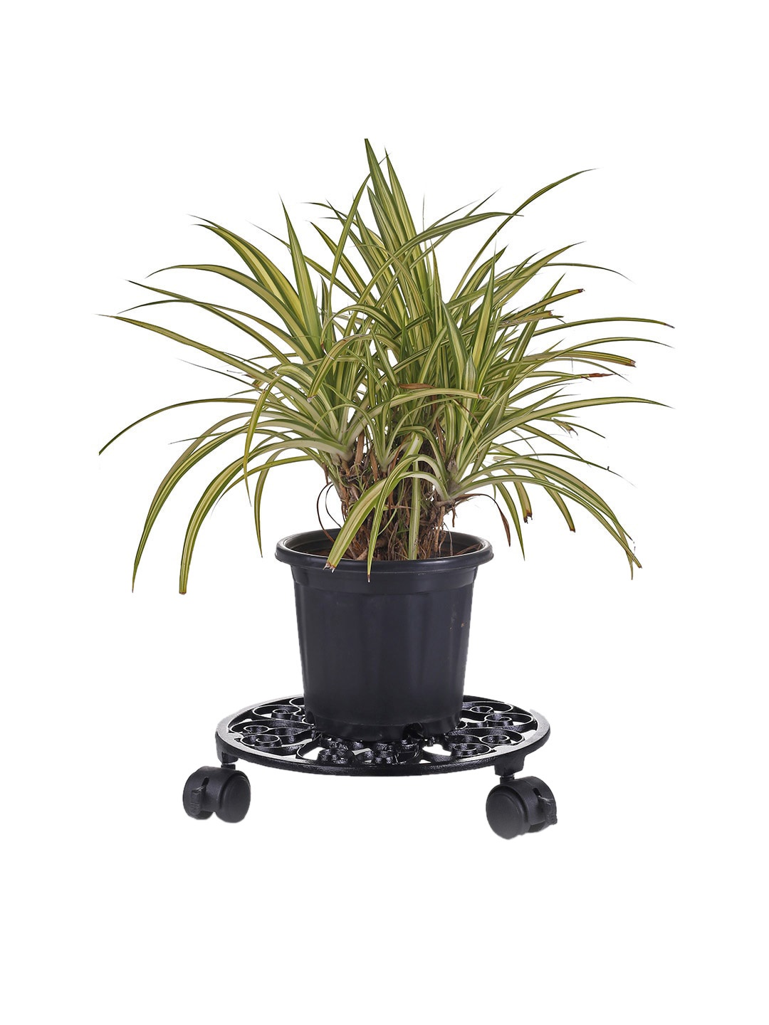 

Sharpex Black Self Design Metal Round Plant Stand