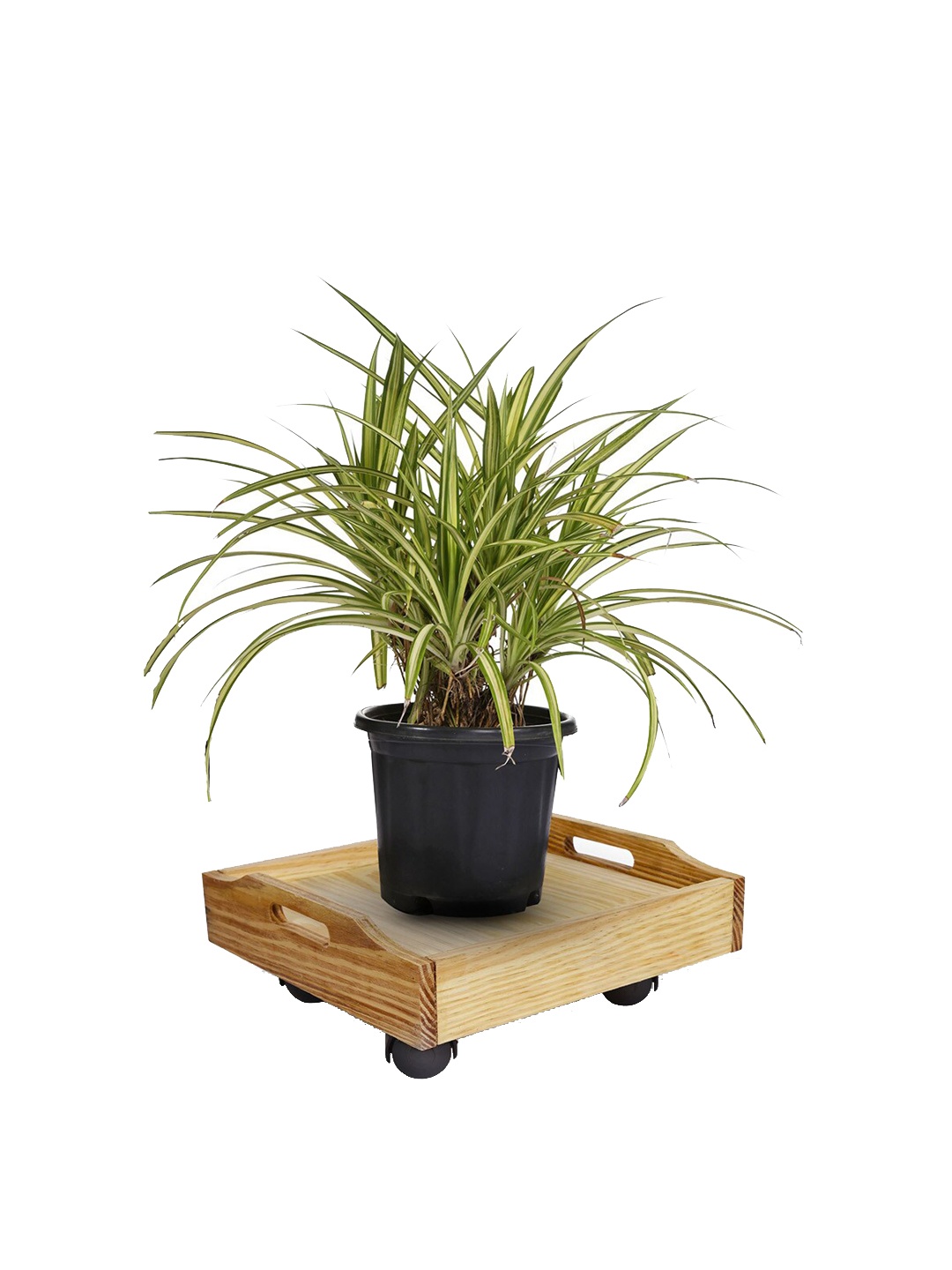 

Sharpex Pack Of 2 Brown Wooden Plant Stand