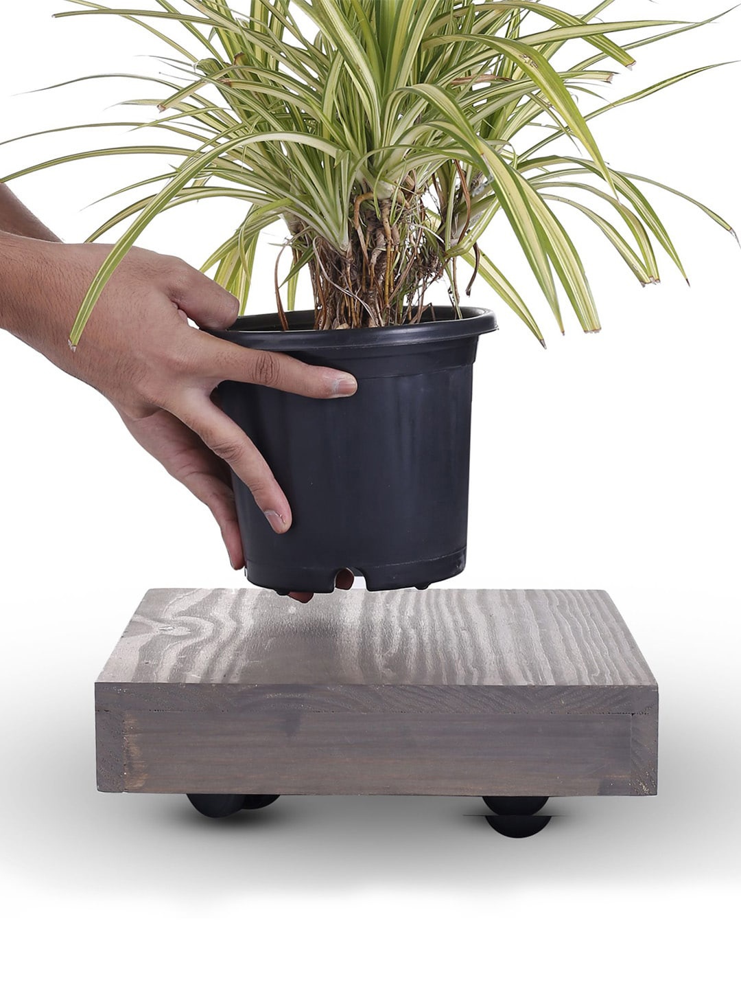 

Sharpex Grey Solid Wooden Square Stand