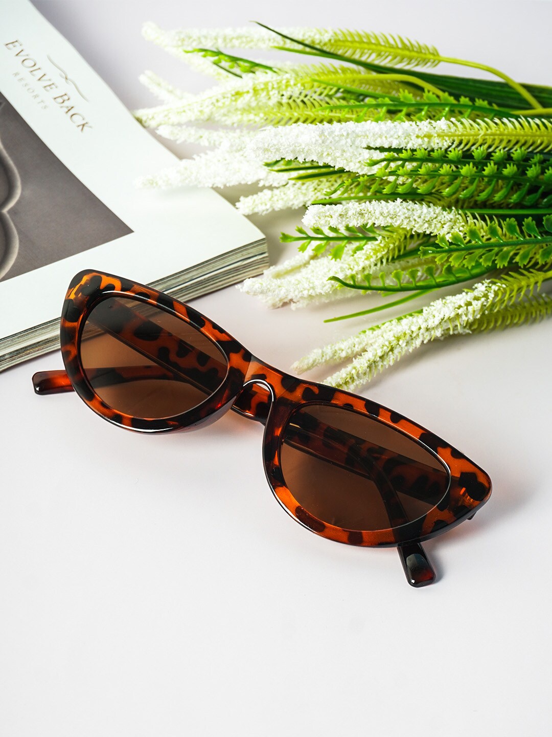 

Ferosh Unisex Brown Lens & Brown Cateye Sunglasses FASG22-8011