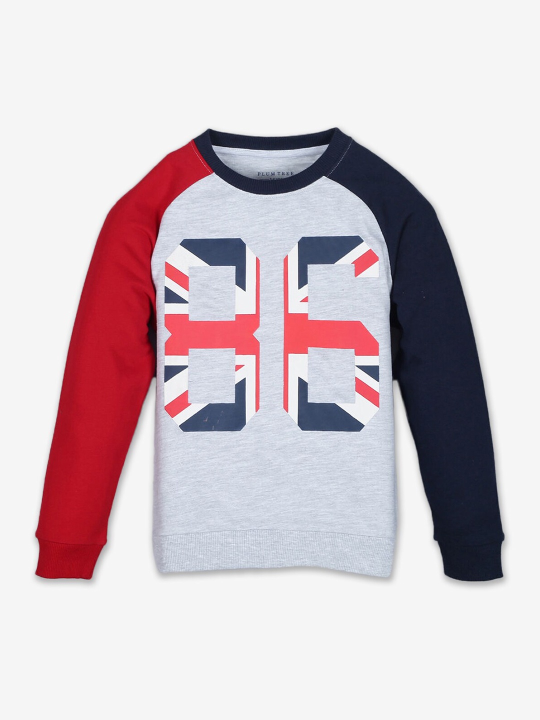 

Hopscotch Boys Grey Printed Full-Sleeve Sweatshirt