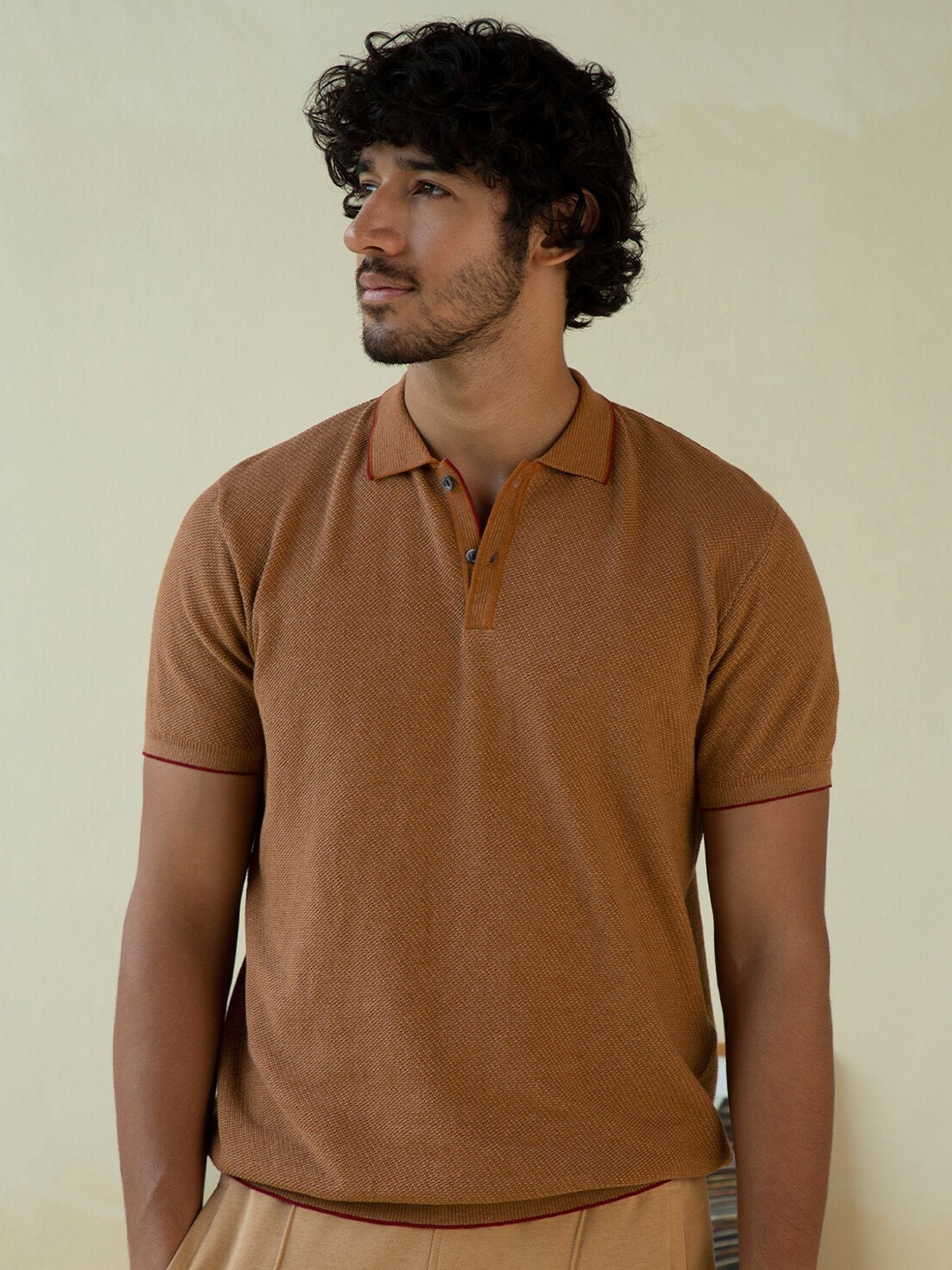 

Andamen Men Brown Polo Collar T-shirt